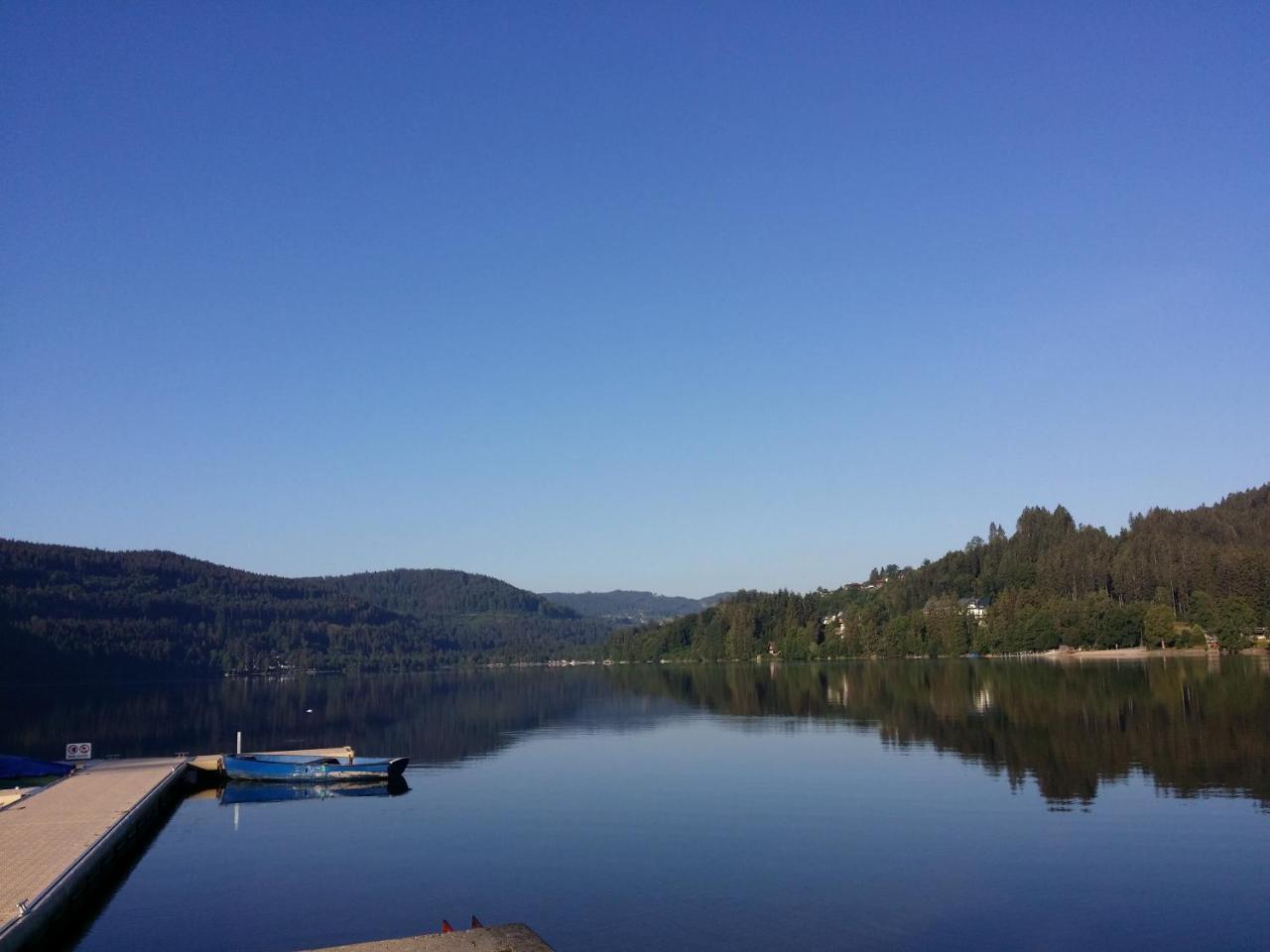 Schwarzwald - Villa Appartments Titisee Екстериор снимка